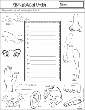 body parts worksheets by km classroom teachers pay teachers