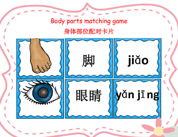Mandarin Chinese Body Parts Matching Cards Game 1 身体部位配对卡片1 Tpt
