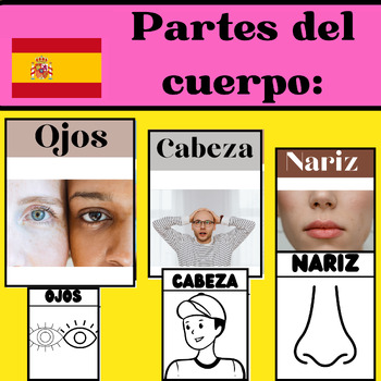 Preview of Body's Parts : Worksheet  and Flash card  IN Español