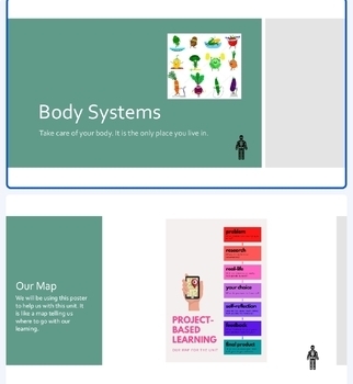 Preview of Body system unit Physical and health education IB PYP curriculum