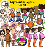 Body systems clip art- Reproductive System