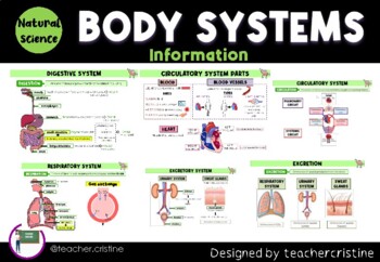 Preview of Body systems information