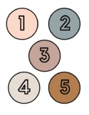 Boho Neutral// Retro Dust Desk Numbers