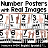 Boho Real Pictures Number Posters | ASL | Nonfiction Class