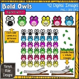 Bold Owls Digital Clip Art