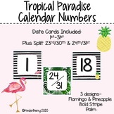 Tropical Paradise Calendar Numbers