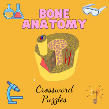 Bone Anatomy Activity Crossword (15 clues) ONLINE Answer Key Included