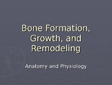 Bone Anatomy, Formation, Growth and Remodeling