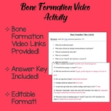 Bone Formation Video Activity- Distance Learning