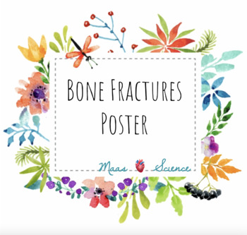 Preview of Bone Fractures Poster Activity