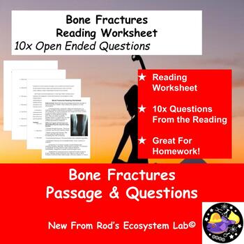 Preview of Bone Fractures Reading Worksheet **Editable**