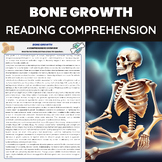 Bone Growth | Skeletal System, Ossification, Cartillage | 