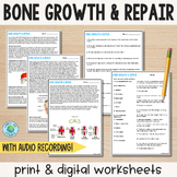 Bone Growth & Repair - Reading Comprehension Worksheets
