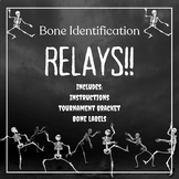 Bone Identification Relay Review!! High School Anatomy Ske