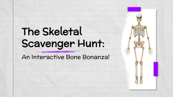 Preview of Bone Notes & Skeletal Scavenger Hunt
