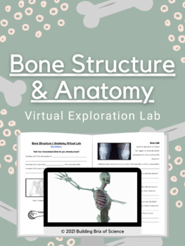 Preview of Bone Structure & Anatomy Virtual Exploration Lab