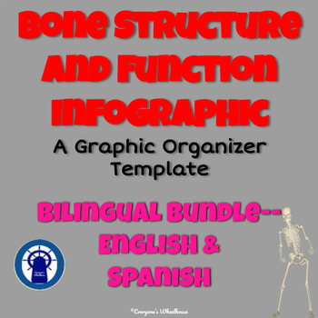 Preview of Bone Structure Infographic Graphic Organizer Bilingual Bundle