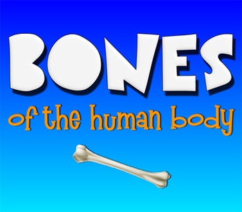 Preview of Bones! Learn the Bones of the Human Skeleton!