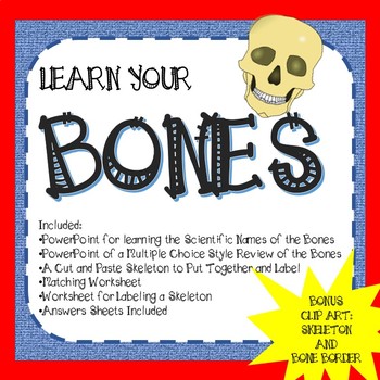 https://ecdn.teacherspayteachers.com/thumbitem/Bones-Learning-the-Bones-of-the-Skeleton-3662525-1701022786/original-3662525-1.jpg