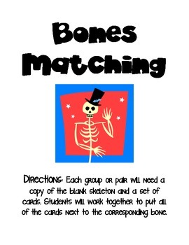 Preview of Bones Matching-Skeletal System Activity