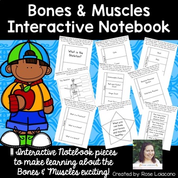 Preview of Bones & Muscles Interactive Notebook