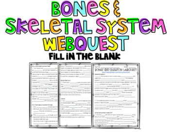 Preview of Bones & Skeletal System Webquest: Fill in the Blank