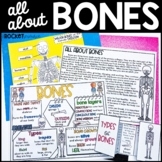 Bones | Skeleton | Human Body