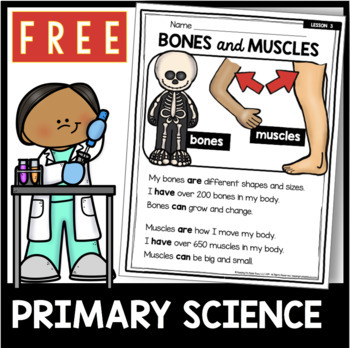 Preview of Bones and Muscles - Kindergarten and First Grade Human Body - Skeleton