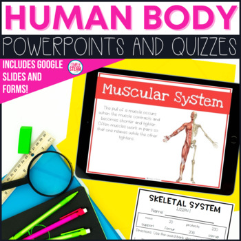 Preview of Bones and Muscles PowerPoint Lessons & Quizzes