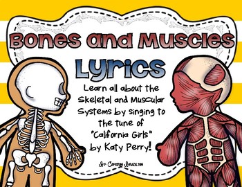 Preview of Bones and Muscles Song Lyrics (Skeletal and Muscular Systems)