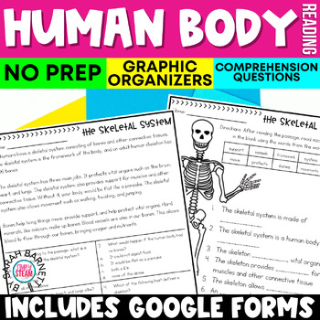 Preview of The Human Body: Muscles, Skin, & Bones Worksheets and Reading Passages