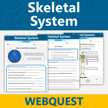 Preview of Bones and Skeletal System Webquest Human Body Systems Activity