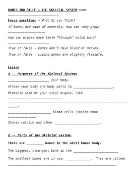 Preview of Bones and Stuff -- The Skeletal System worksheets