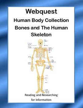 Preview of Bones and The Human Skeleton-  WebQuest:-CCSS .RI.4.1-8.1-.RI.4.2-8.2