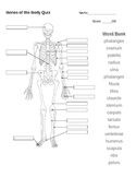 Bones of the Body Quiz