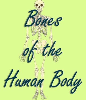 Preview of Bones of the Human Body