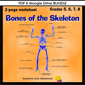 Preview of Bones of the Skeleton - Learn the Names of Bones- Grades 5-8 - PDF/Google BUNDLE