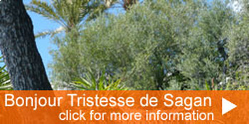 Preview of Bonjour Tristesse by Françoise Sagan-comprehensive teaching resources`