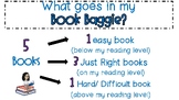 Book Baggie/ I- Pick (English only)