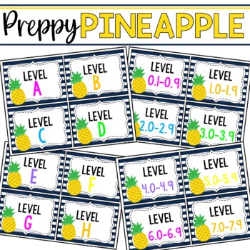 book bin book basket labels editable preppy pineapples by heather