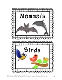 22 Non-Fiction Simple Book Bin Labels for Elementary