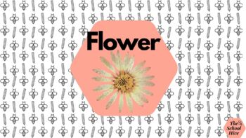 Preview of Book: I see a flower.
