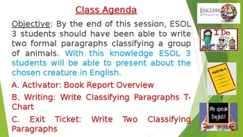 Preview of Book Report Overview and Writing Lesson on Classifying Paragraphs