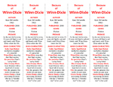 Because of Winn-Dixie edition of Bookmarks Plus—Aids under