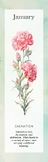Bookmarks - birth flower themed 12 bookmarks