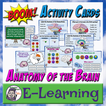Preview of Boom Cards | Anatomy of the Brain | Middle School Science | Distance Learning