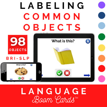 Preview of Labeling Common Objects BOOM CARDS™