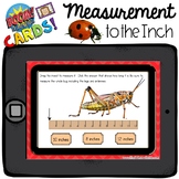 Boom Cards - Measurement to the Inch - Insects - Distant Learning