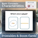 Boom Cards Speech Therapy Basic Concepts Qualitative Chara