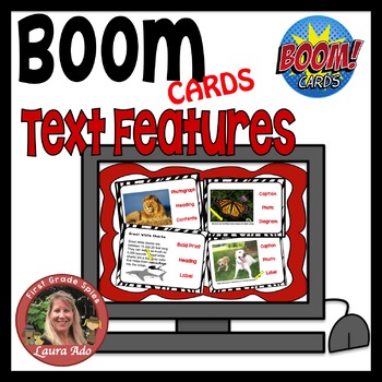 Preview of Boom Cards Text Feature Practice